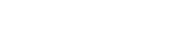 Dongfeng 007