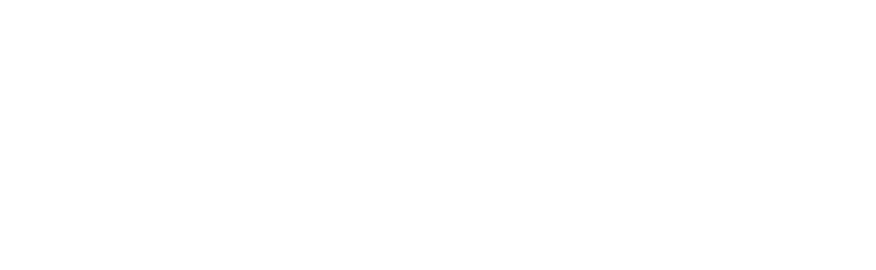 Dongfeng 06