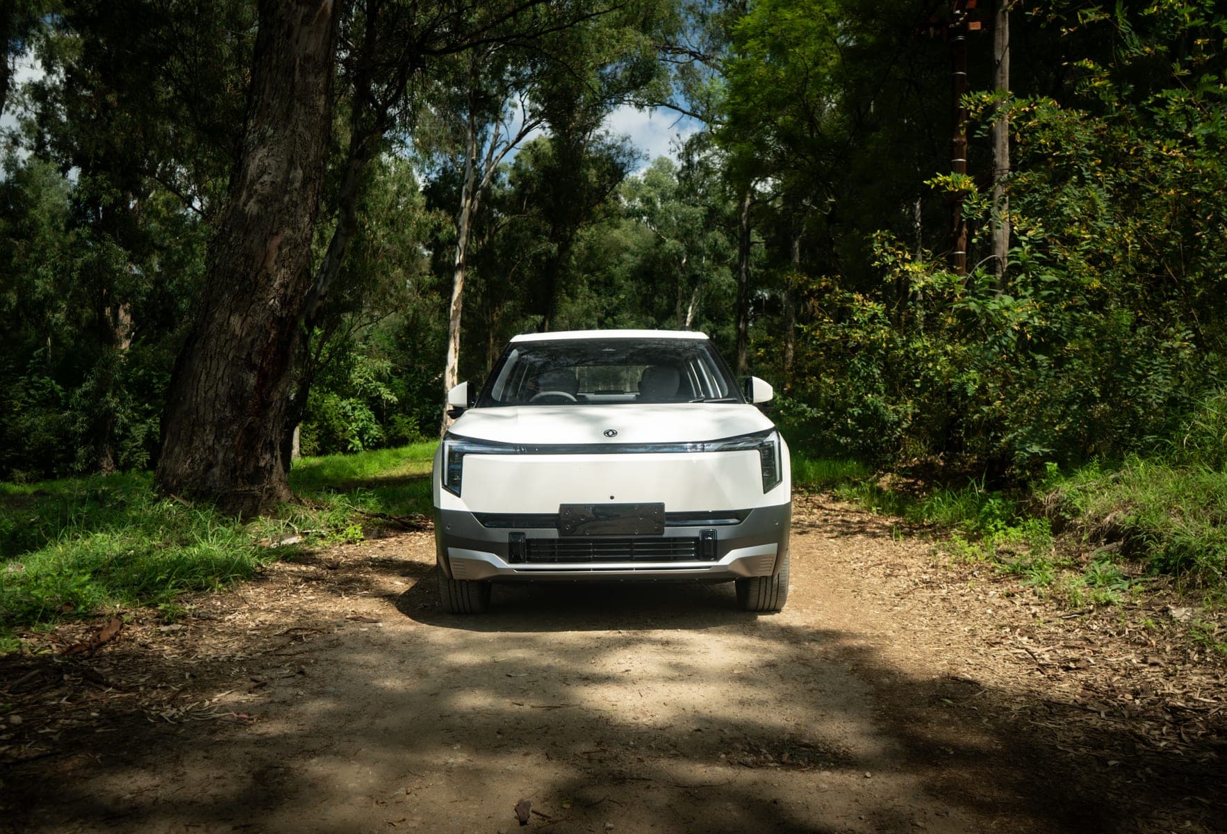 Dongfeng 06 — front view lifestyle shot