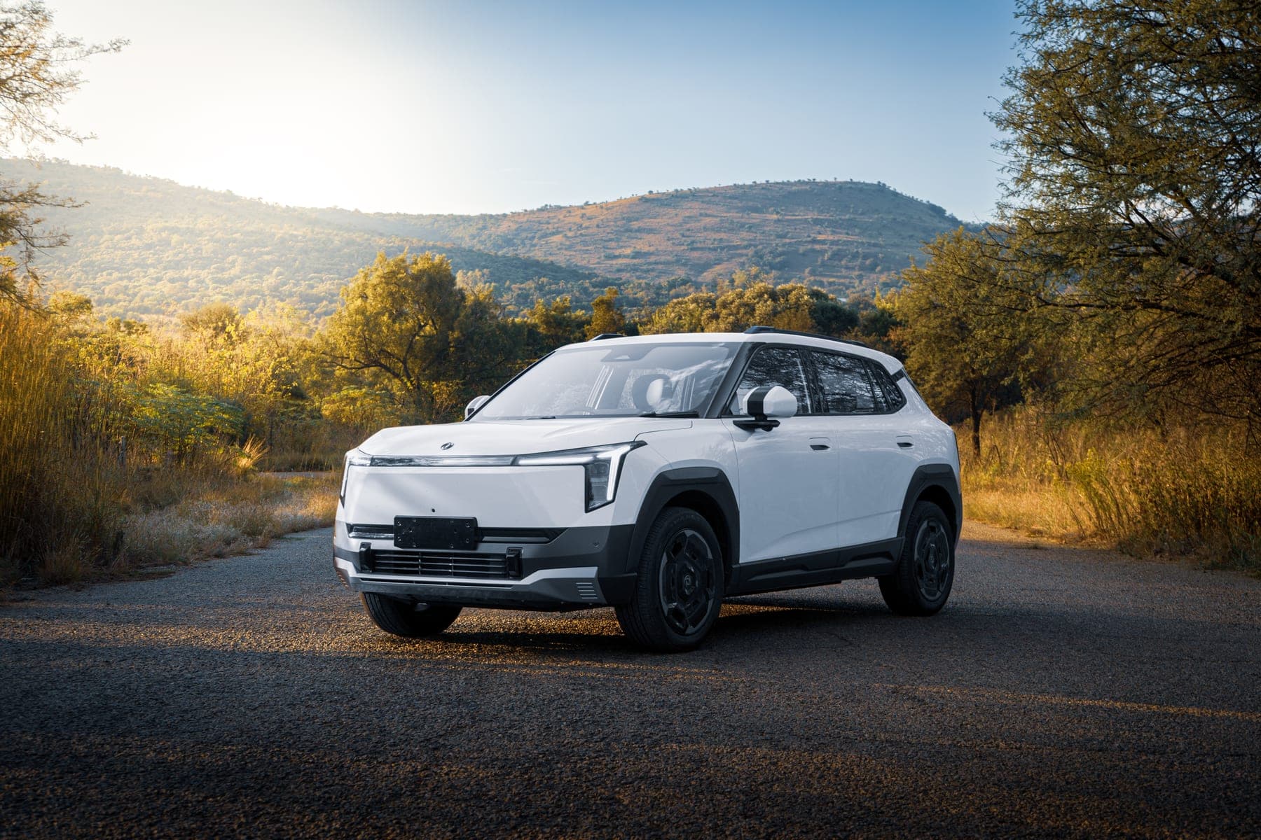 Dongfeng 06 — side profile, South African setting