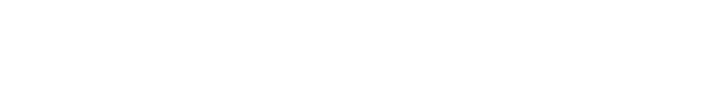 DONGFENG LOGO